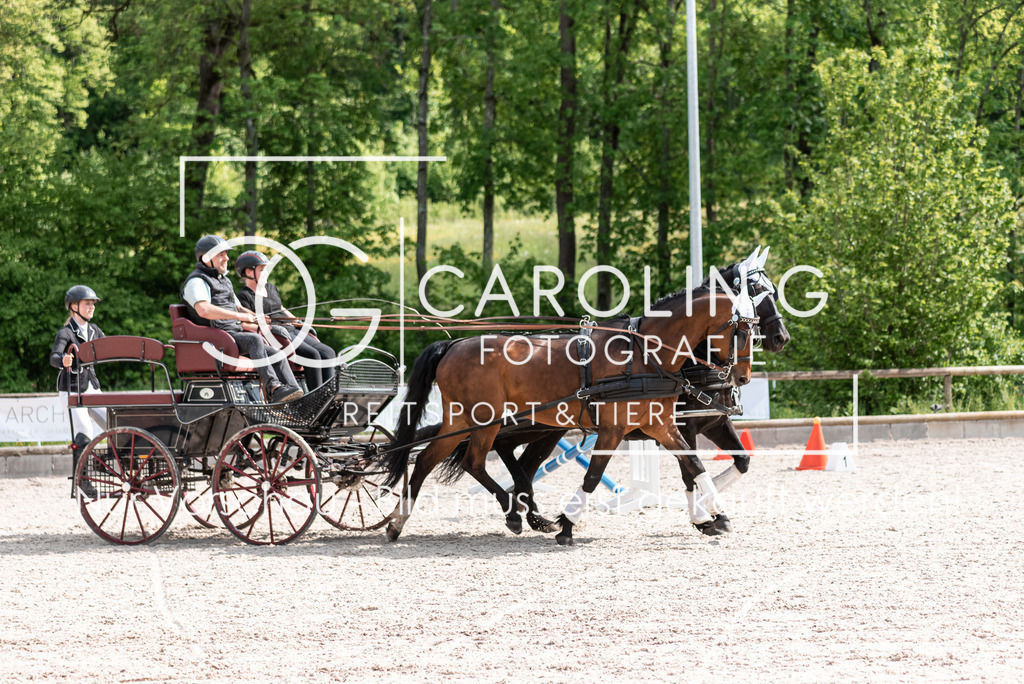 DSC_1902 | Turnierfotografin Carolin Gieschke, Turnierfotografie Carolin G Fotografie, Turnierfotos Kirchheim/Teck, Esslingen, Stuttgart, Bodenseekreis