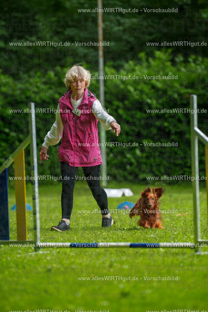 @allesWIRTHgut_Tierfotografie - www.allesWIRTHgut.de - 090729-7R506525 | Professionelle Tierfotografie in Mönchengladbach von Daniel Wirth (allesWIRTHgut). Liebevolle & natürliche Bilder von Hunden & Katzen für unvergessliche Erinnerungen.