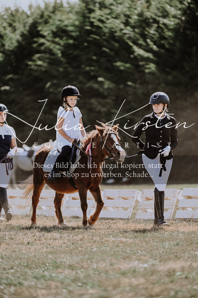 DSC_8837 | Pferde- und Turnierfotografie in Westsachsen. Pferdeportraits, Auftragszeichnungen und intuitive Kunst.