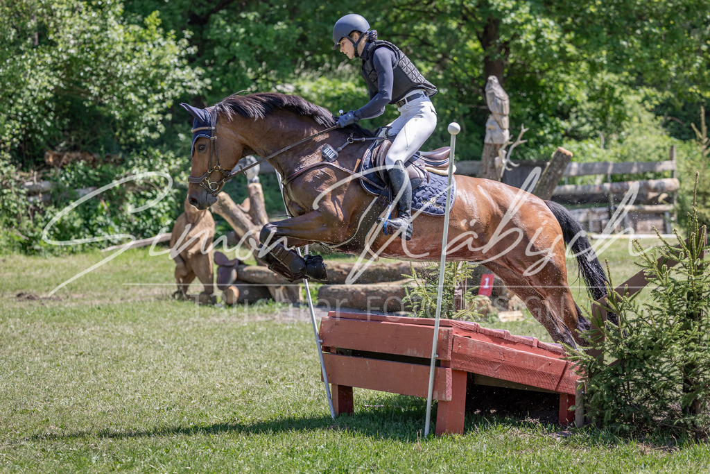 20260523-_3LI8783 | Tierfotografie Pferde, Hunde, Katzen, Haustiere.
Turnierfotografie Reitturniere, Reiten, Springreiten, Dressur in Hanau, dem Main-Kinzig-Kreis und dem Rhein-Main- Gebiet um Frankfurt