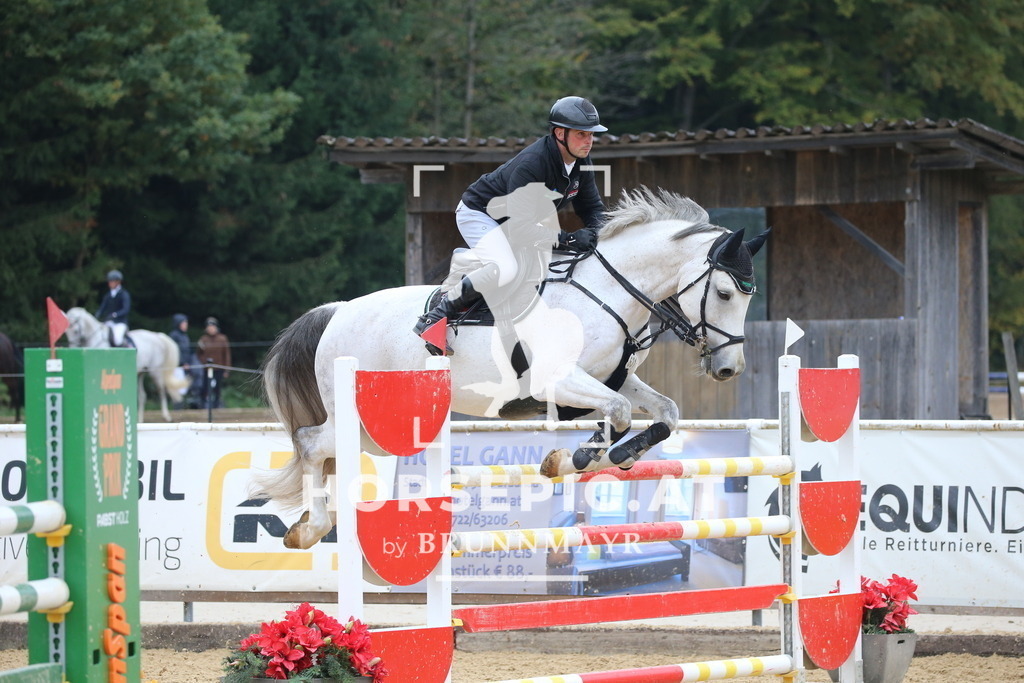 DL2Q3093 | Willkommen bei Brunnmayr - Design & Fotografie – Ihrem Spezialisten für Reitturniere und Pferdeveranstaltungen in Oberösterreich, Salzburg und Bayern! Seit über 17 Jahren sind wir leidenschaftlich dabei.