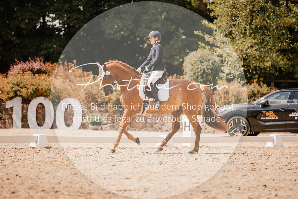 3I6A6271 | Stimmungsvolle Portraits und Reitsportfotografie im Ruhrgebiet und im Münsterland.

Pferdefotografie, Hundefotografie, Tierfotografie, Reportagen, Portraits von Tier und Mensch, Turnierfotografie in Bochum, Recklinghausen, Marl, Haltern am See, Dülmen.. - Realisiert mit Pictrs.com