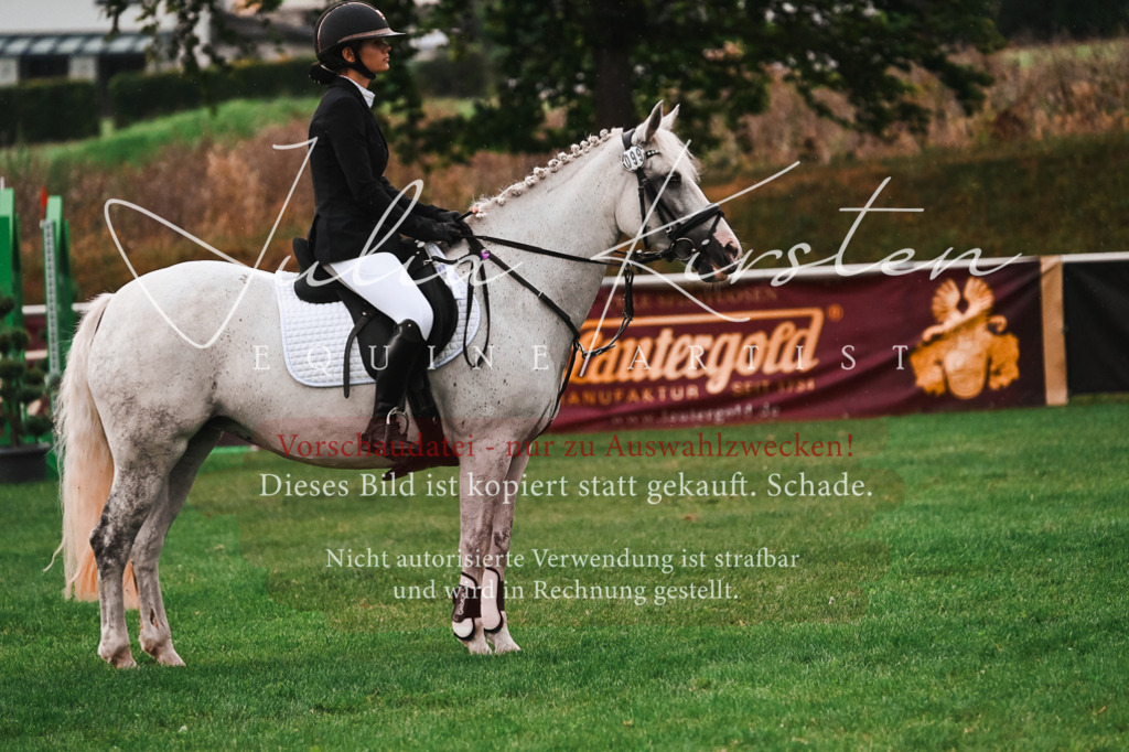 DSC_6178 | Pferde- und Turnierfotografie in Westsachsen. Pferdeportraits, Auftragszeichnungen und intuitive Kunst.