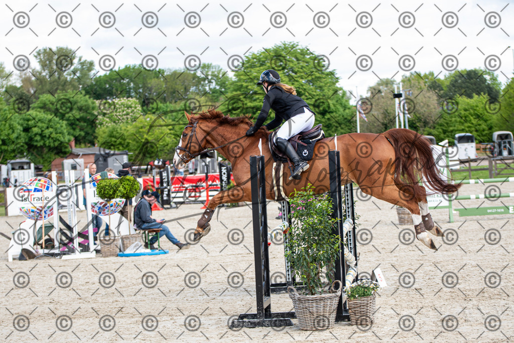 KPT_5058 | andre_photographic