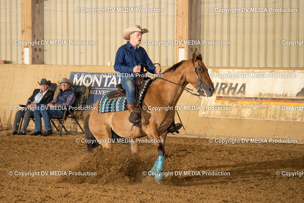 LAU01335 | dv-media-shop - Realisiert mit Pictrs.com