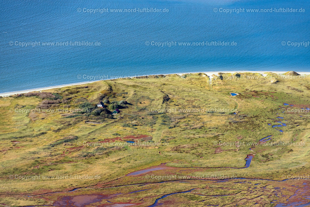 Memmert_ELS_5787091022 | JUIST 09.10.2022 Kurvenförmige Schleifen mehrerer Fluss- Verläufe auf der grünen naturgeschützten Nordsee- Insel Memmert bei Juist mit Wattenmeer und vorgelagerter Sandbank Kachelotplate im Bundesland Niedersachsen. // Curved loops of several converging rivers flowing into the Wadden Sea on the green environmentally protected North Sea island Memmert in Juist and the sandbank Kachelotplate in the state Lower Saxony. Foto: Martin Elsen