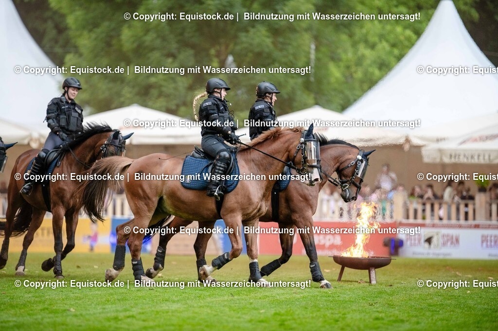 20250606_Lange-Pferdenacht_0786 | Foto: Thomas Hartig