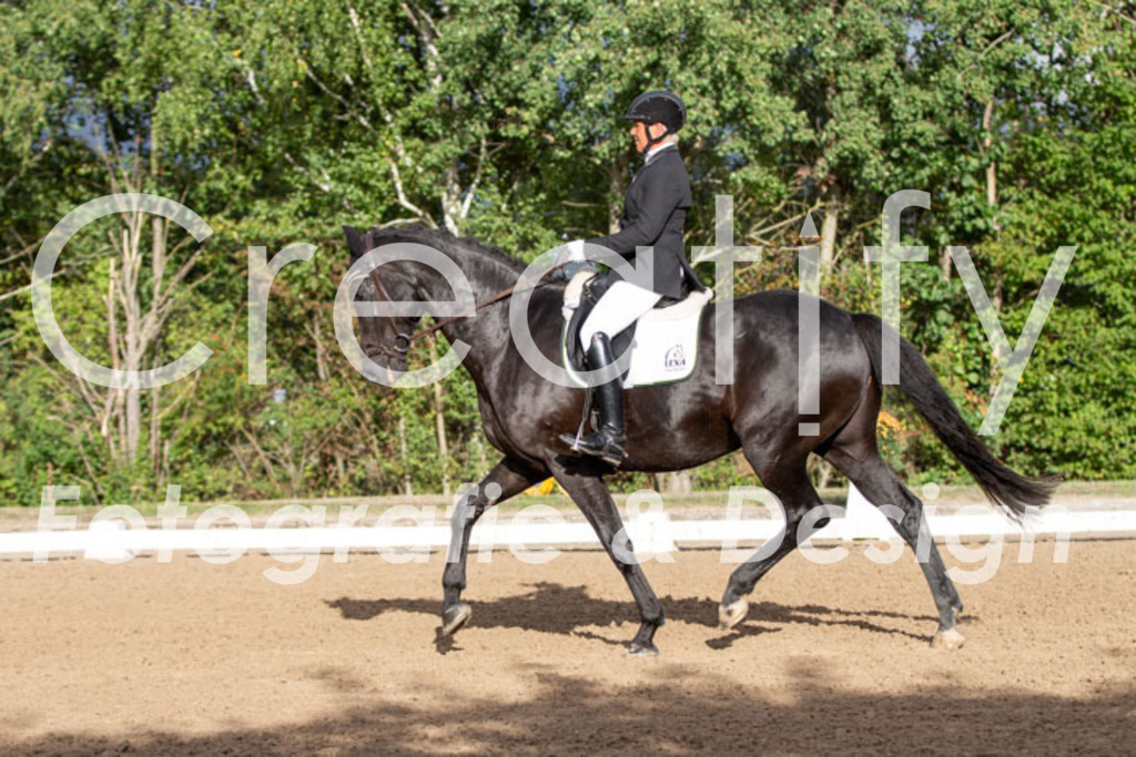 IMG_4854 | Creatify Fotografie