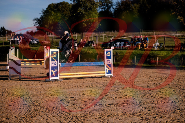 2026_10_03_Siefer-Hof_171433_Z81_11948333 | Professionelle Reitsport-, Turnier- und Eventfotografie von Robert Broda. Galerien mit ausgewählten und bearbeiteten Bildern direkt online ansehen und bestellen.