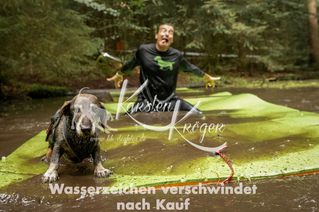 1224_ZZ94494-Bearbeitet | kk-dogfotos