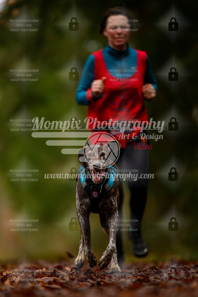 MompixPhotography_2SSTSSBW_2025_SO_Canicross-41 | PayLife