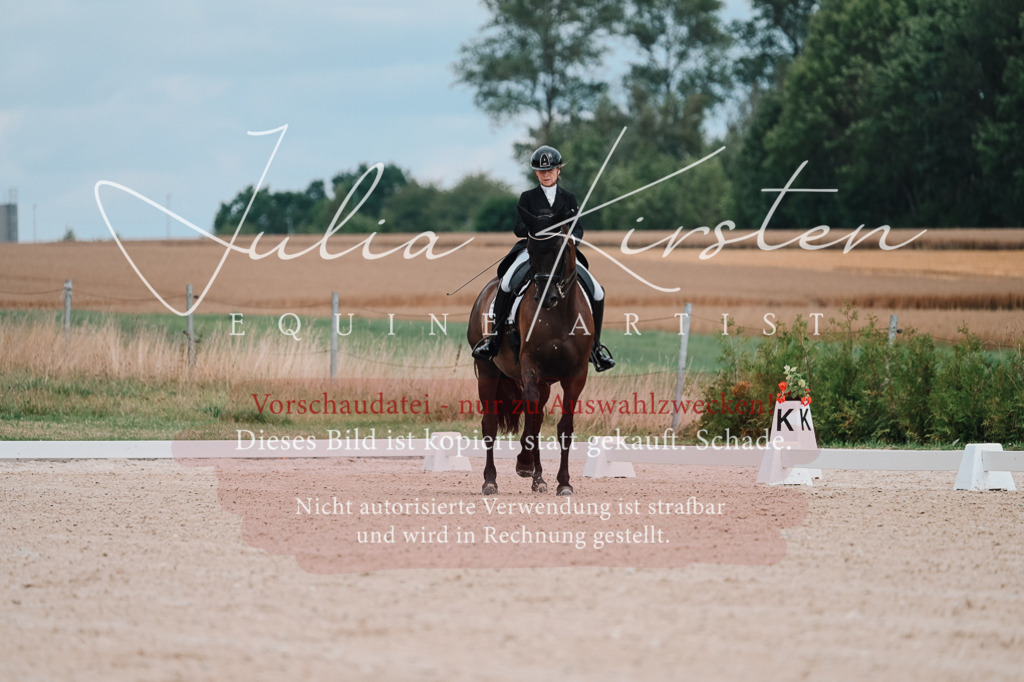 DSC_4176 | Pferde- und Turnierfotografie in Westsachsen. Pferdeportraits, Auftragszeichnungen und intuitive Kunst.