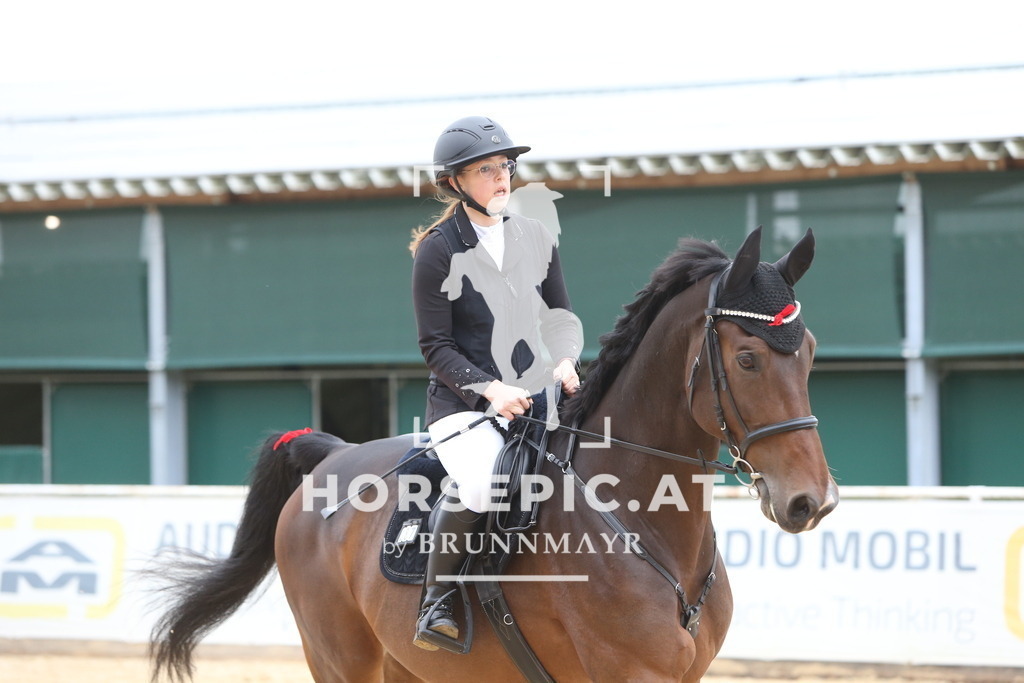 DL2Q0729 | Willkommen bei Brunnmayr - Design & Fotografie – Ihrem Spezialisten für Reitturniere und Pferdeveranstaltungen in Oberösterreich, Salzburg und Bayern! Seit über 17 Jahren sind wir leidenschaftlich dabei.