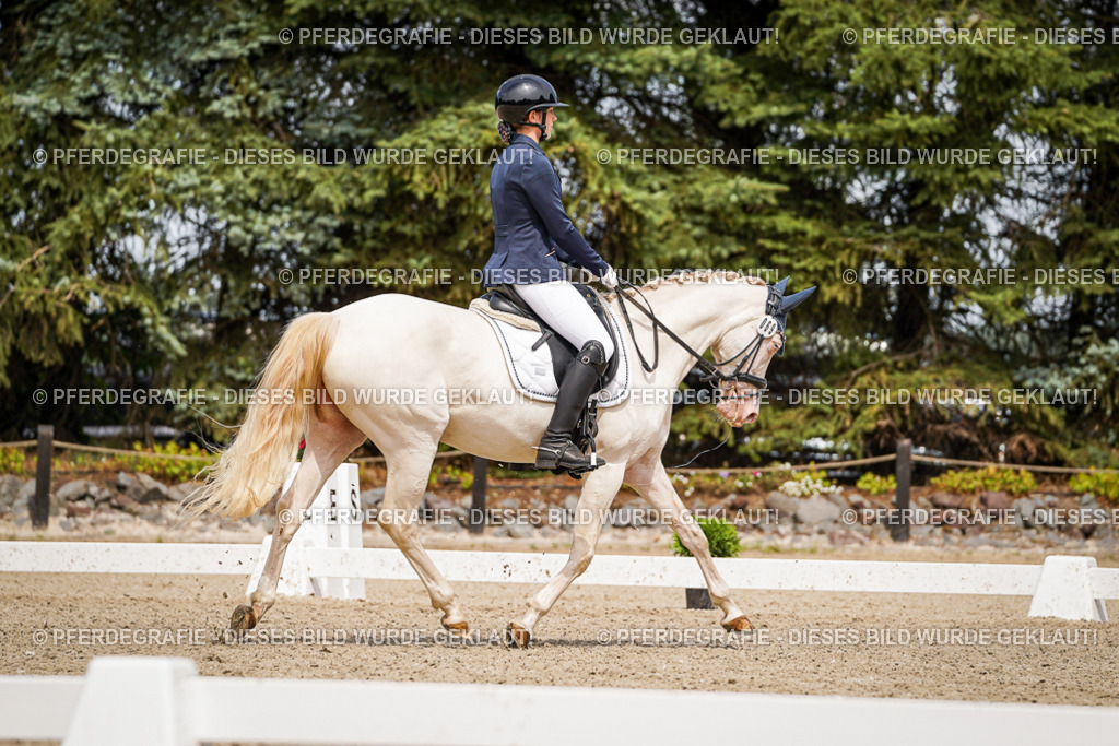 DSC04286 | Pferdegrafie