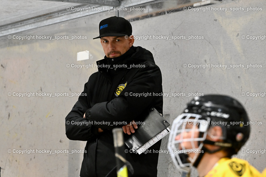 EC Spittal Hornets vs. ESC Steindorf 28.10.2023 | Headcoach EC Spittal Hornets ORZETEK Florian