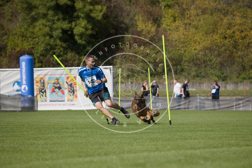 0L8A3043 | Hundefotografie, Tierfotograf, Pfotenfotografie, Fotoshooting Hund, Hunde Portrait, Hundesport, Hundeportraits, Heideshooting, Hunde, Sportfotograf, Hundefotograf, Turnierhundsport, THS,  - Realisiert mit Pictrs.com