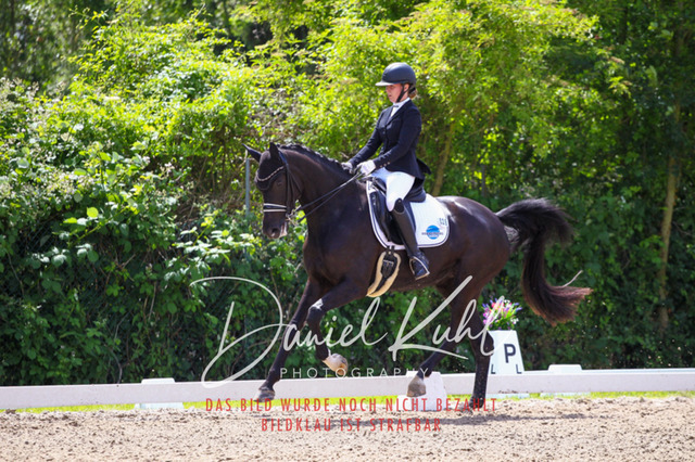 DKP40989 | Turnierfotos kaufen im Webshop von Daniel Kuhl Photography – entdecke professionelle Reitsportfotos aus Turnieren & Events. Hochwertige Turnierbilder online bestellen & sichern. Jetzt Fotos von Reitsportturnieren kaufen!
