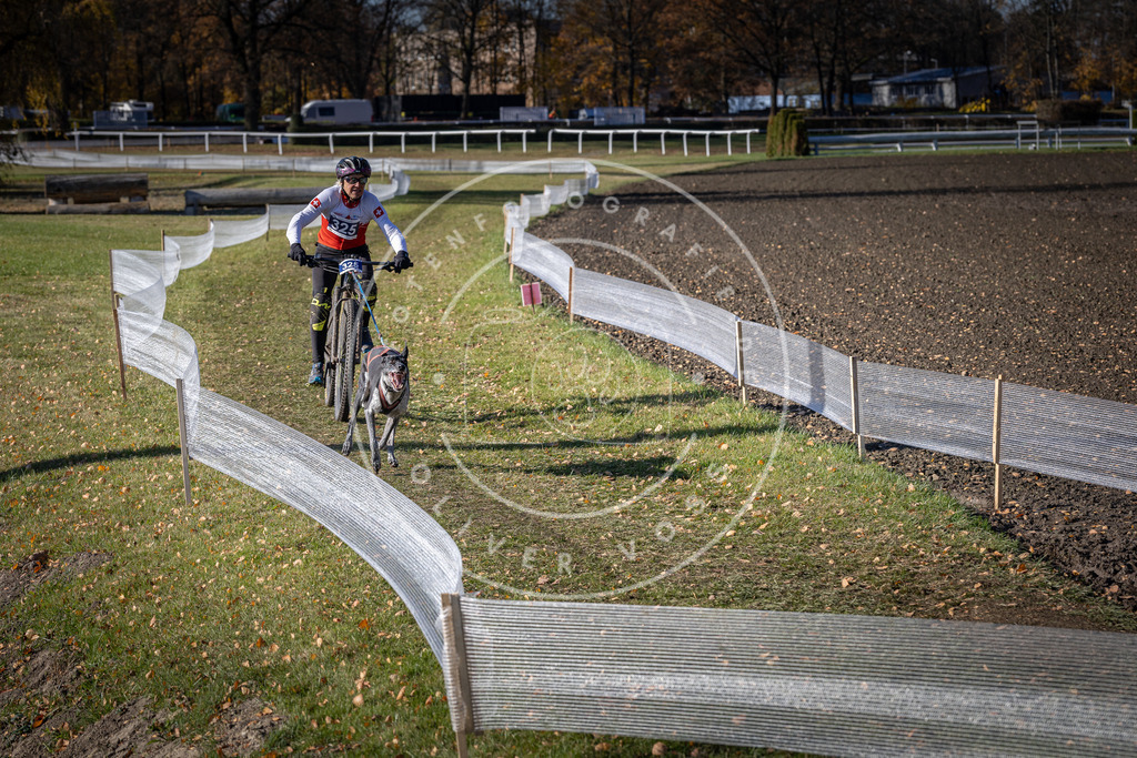 CaniXpix_DV3A6601 | Hundefotografie, Tierfotograf, Pfotenfotografie, Fotoshooting Hund, Hunde Portrait, Hundesport, Hundeportraits, Heideshooting, Hunde, Sportfotograf, Hundefotograf, Turnierhundsport, THS,  - Realisiert mit Pictrs.com