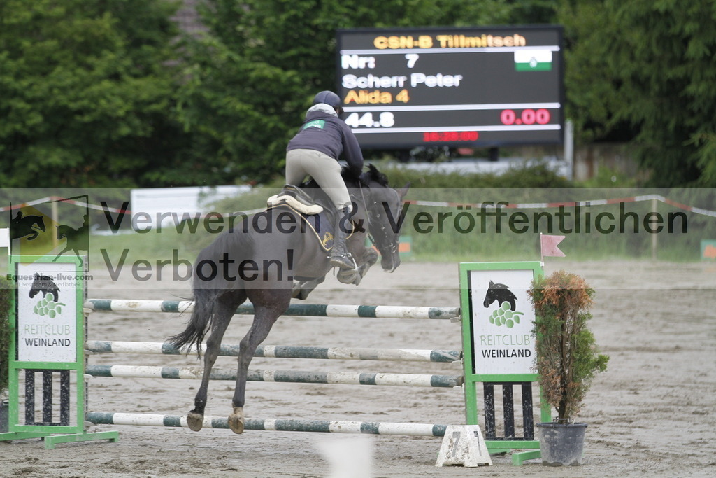 _MG_6366 | equestrian-live-com