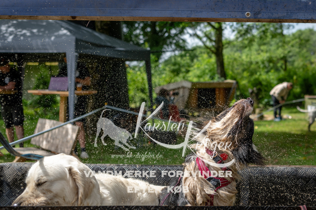1124_ZZ94155 | kk-dogfotos