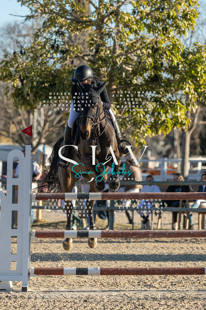 IMG_2406 | s-jay-photography - Realisiert mit Pictrs.com