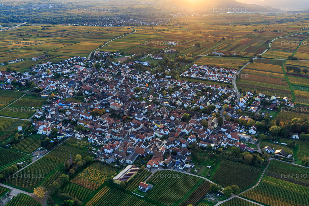 Luftbild: Winzerdorfübersicht aus Osten umgeben von Weinbergen in Herbstfarben im Ortsteil Nußdorf in Landau im Bundesland Rheinland-Pfalz in Deutschland.Foto: IMG_135147.jpg vom 22.10.2022 durch Werner Riehm/FLY-FOTO.deAuflösung des Originals: 4824 x 3216 px