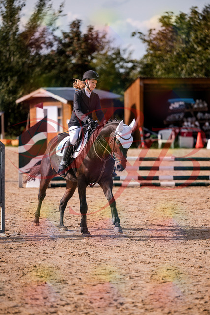 2026_10_03_Siefer-Hof_153549_Z81_48106887 | Professionelle Reitsport-, Turnier- und Eventfotografie von Robert Broda. Galerien mit ausgewählten und bearbeiteten Bildern direkt online ansehen und bestellen.