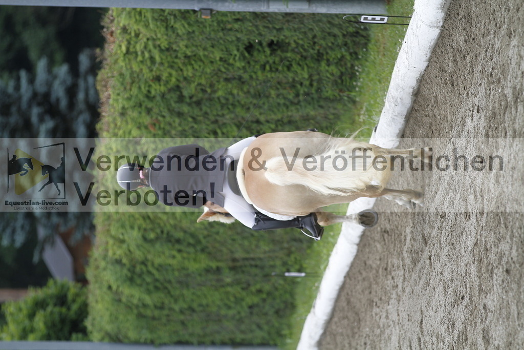 _MG_0961 | equestrian-live-com