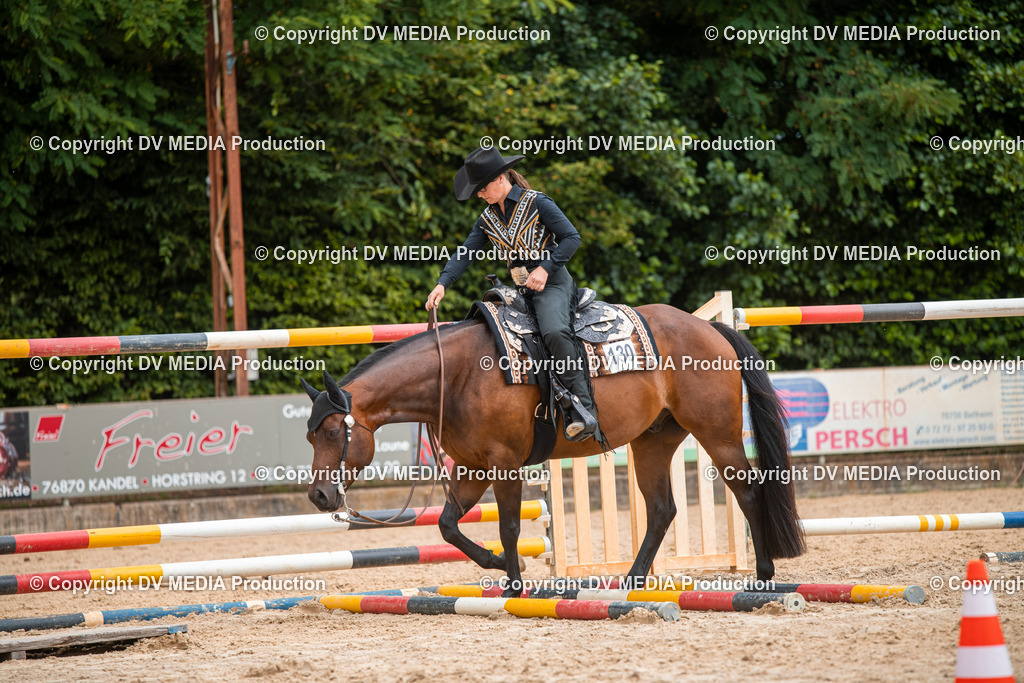 ZS2_7974 | dv-media-shop - Realisiert mit Pictrs.com