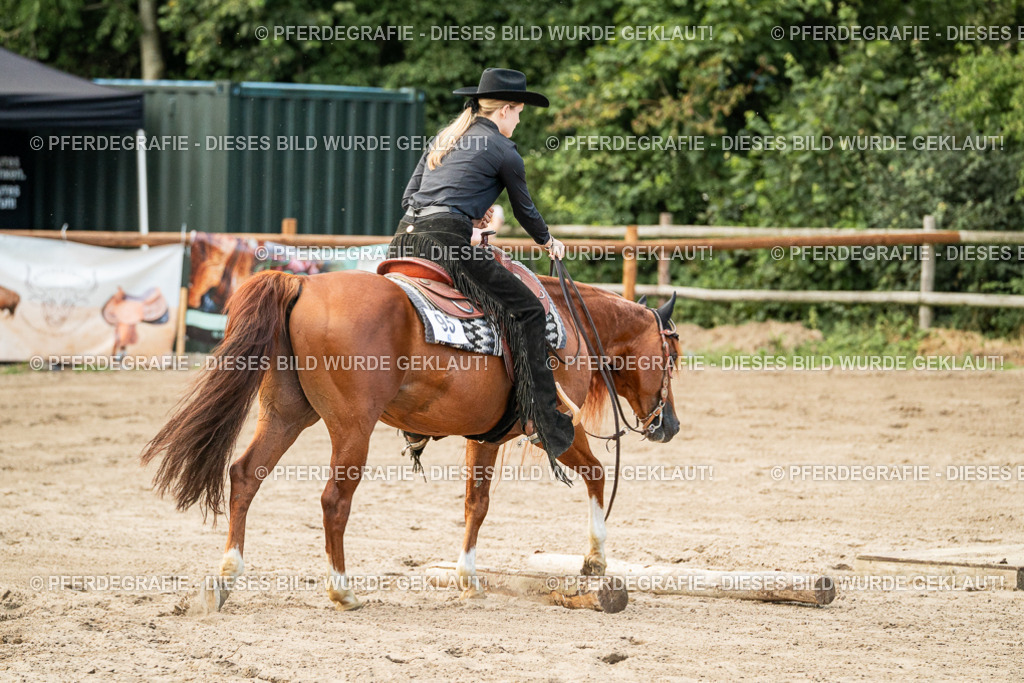 DSC06040 | Pferdegrafie