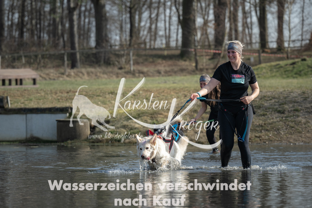 1330_ZZ96585 | kk-dogfotos