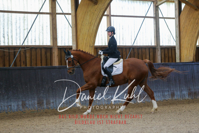 IMG_0217 | Deine Turnierfotos vom Reitturnier online kaufen: Dressur, Springen & Siegerehrung. Professionelle Pferdefotografie aus dem Rheinland – als Download & Print.Alternative: Turnierfotograf für den Pferdesport: Finde deine Fotos von Dressur- und Springturnier