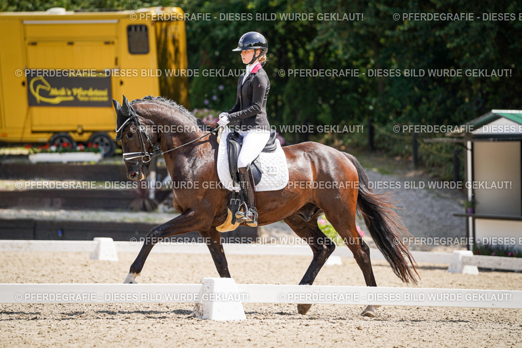 DSC01562 | Pferdegrafie