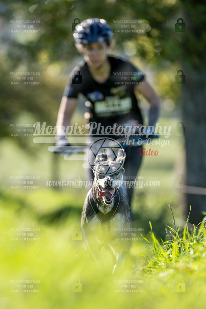 MompixPhotography_20TSB_E3_DS1-54 | PayLife