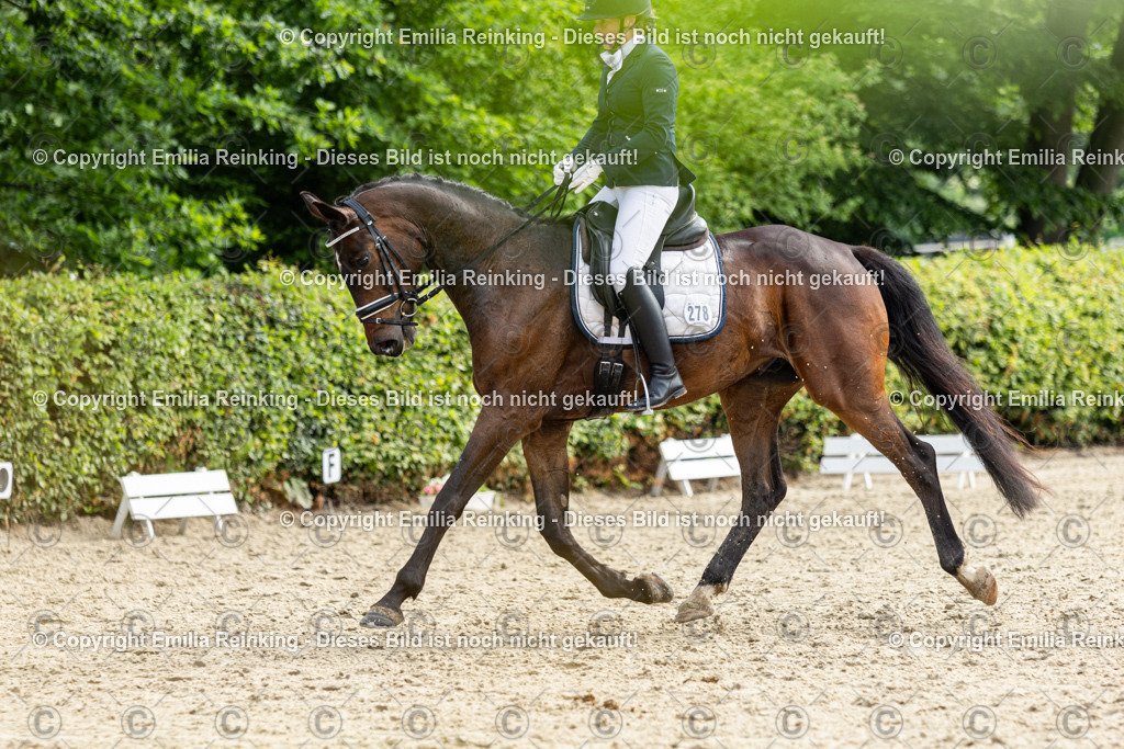 CL5A5385 | Emilia Reinking Fotografie - Realisiert mit Pictrs.com