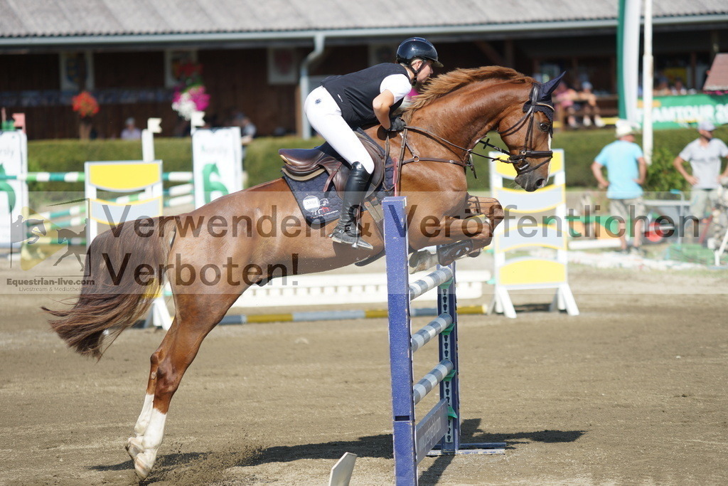 DSC00361 | equestrian-live-com
