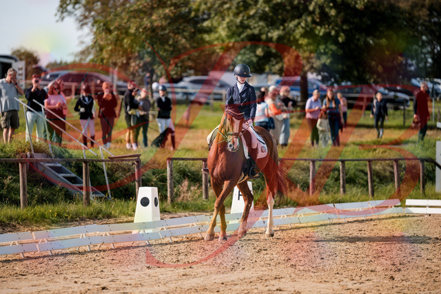 2026_10_03_Siefer-Hof_123527_Z63_53567556 | Professionelle Reitsport-, Turnier- und Eventfotografie von Robert Broda. Galerien mit ausgewählten und bearbeiteten Bildern direkt online ansehen und bestellen.