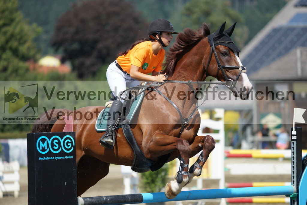 DSC01552 | equestrian-live-com