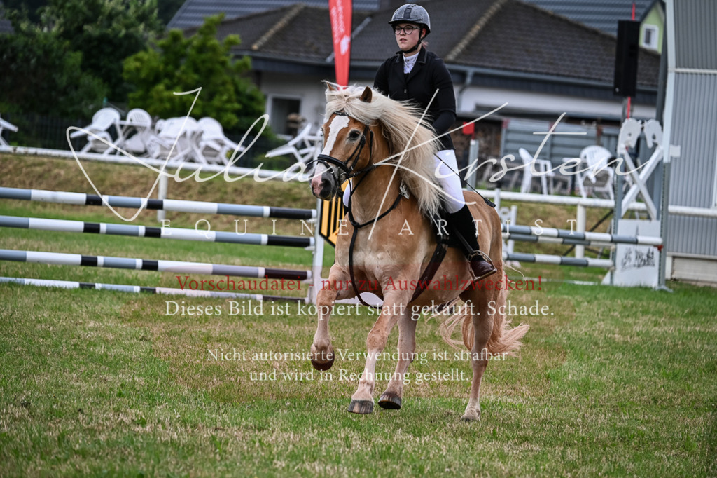 DSC_8413 | Pferde- und Turnierfotografie in Westsachsen. Pferdeportraits, Auftragszeichnungen und intuitive Kunst.