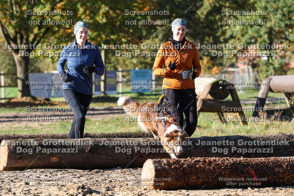 Dog Paparazzi - Strongdog 10-25-1632 | Dog Paparazzi Jeanette Grottendiek Fotografie & Videografie - Realisiert mit Pictrs.com