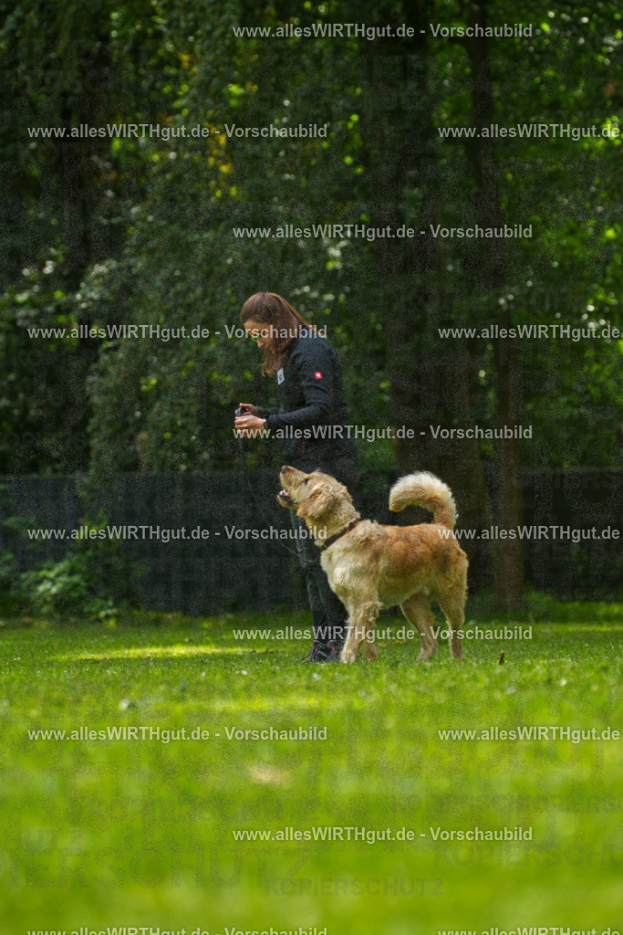 @allesWIRTHgut_Tierfotografie - www.allesWIRTHgut.de - 7R501550 | Professionelle Tierfotografie in Mönchengladbach von Daniel Wirth (allesWIRTHgut). Liebevolle & natürliche Bilder von Hunden & Katzen für unvergessliche Erinnerungen.