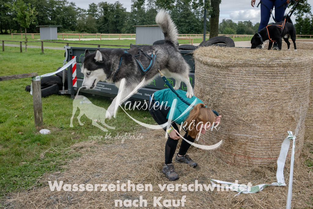 1232_ZZ91151 | kk-dogfotos