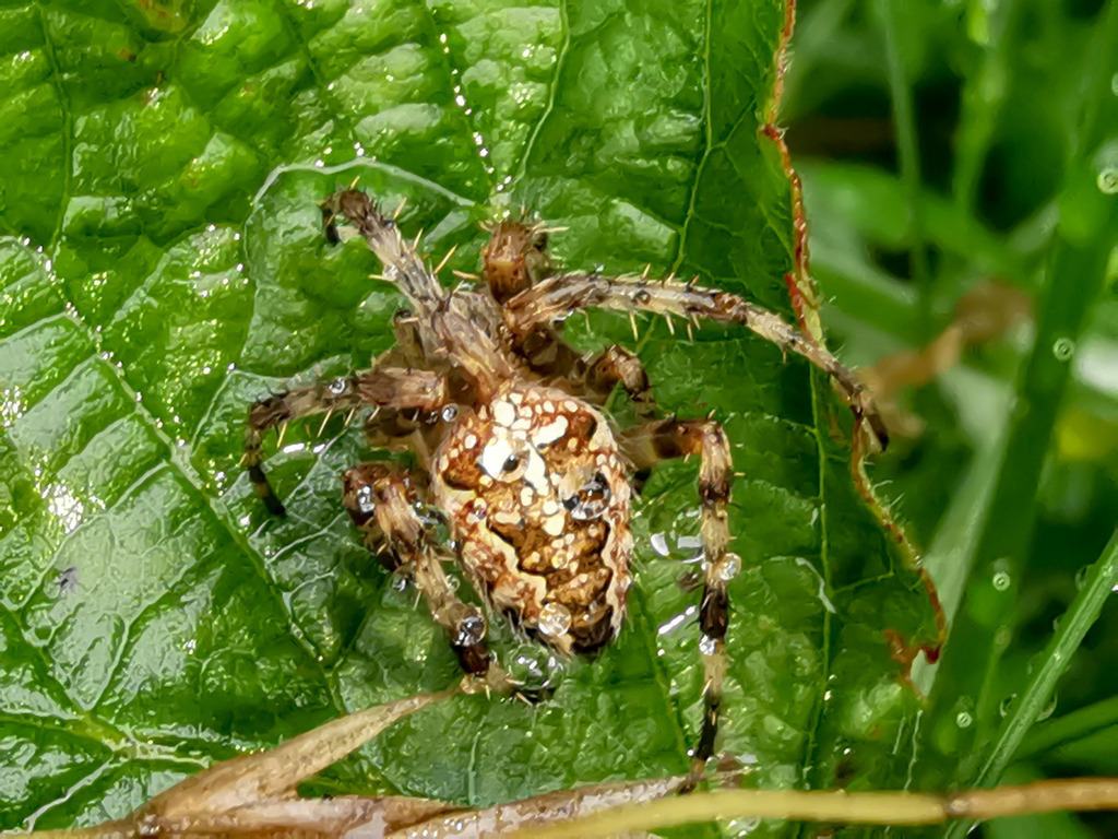 PSX_20230829_224343 | mtkfoto_ - Realisiert mit Pictrs.com