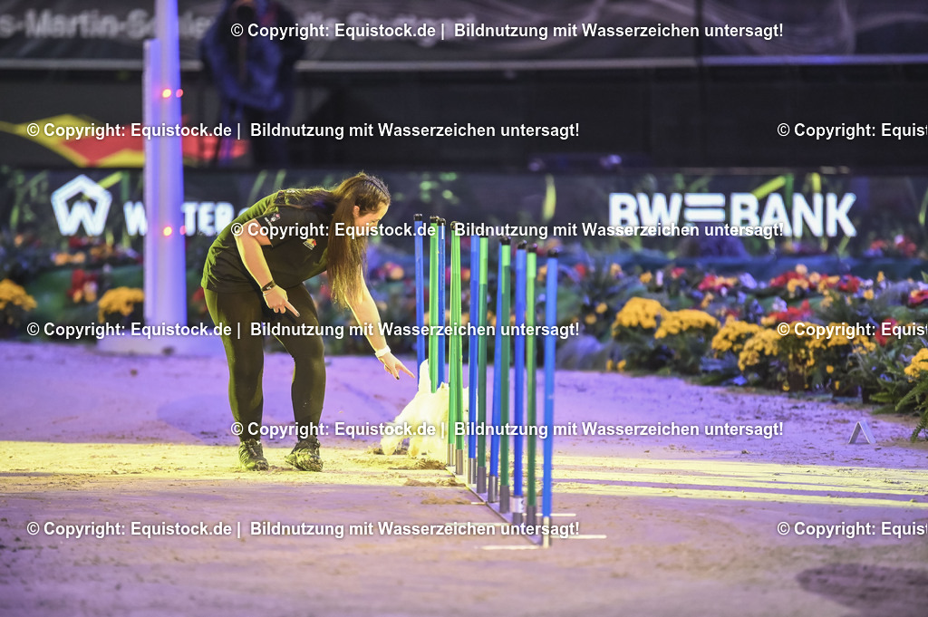 20231115_Dog-Agility_0078_TOMsPiC | Foto: Thomas Hartig