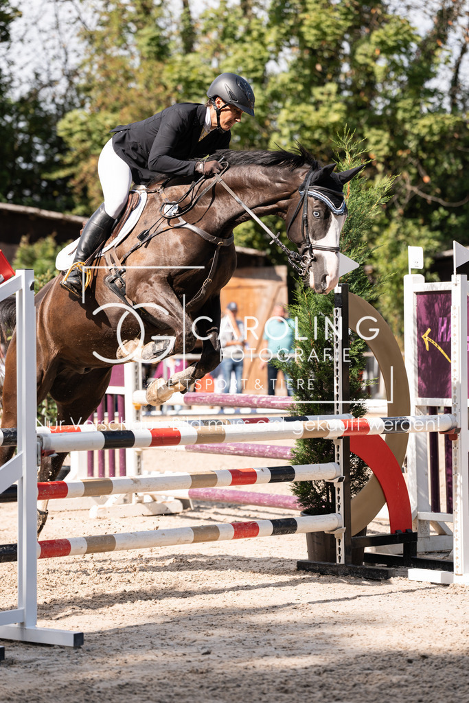 DSC03681 | Carolin Gieschke