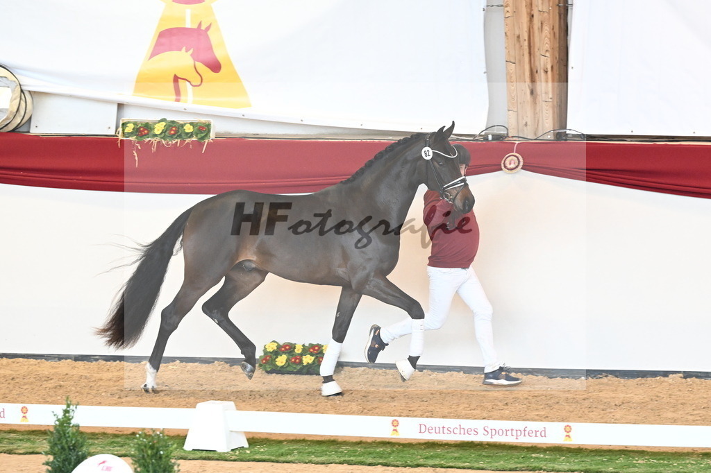 Kat.-Nr. 82 v. Von Und Zu_Berger_2241086 | hf-fotografie - Realizzato con Pictrs.com