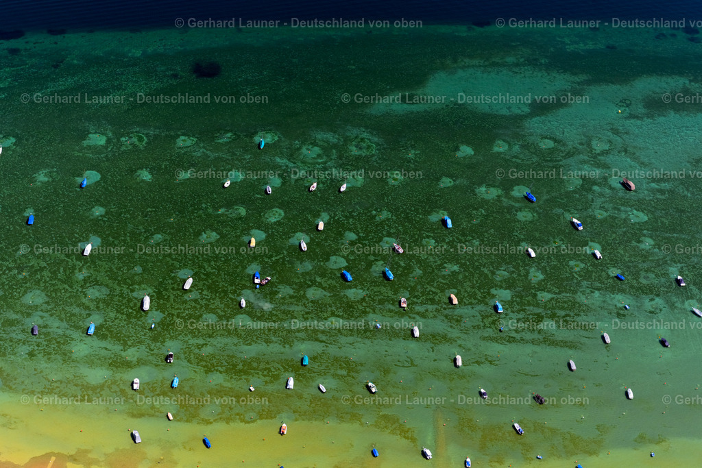 4027185 | MüNSTERLINGEN 17.05.2020 Uferbereiche am Seegebiet des Bodensee Obersee in Münsterlingen im Kanton Thurgau, Schweiz. // Riparian areas on the lake area of Bodensee Obersee in Muensterlingen in the canton Thurgau, Switzerland. Foto: Gerhard Launer