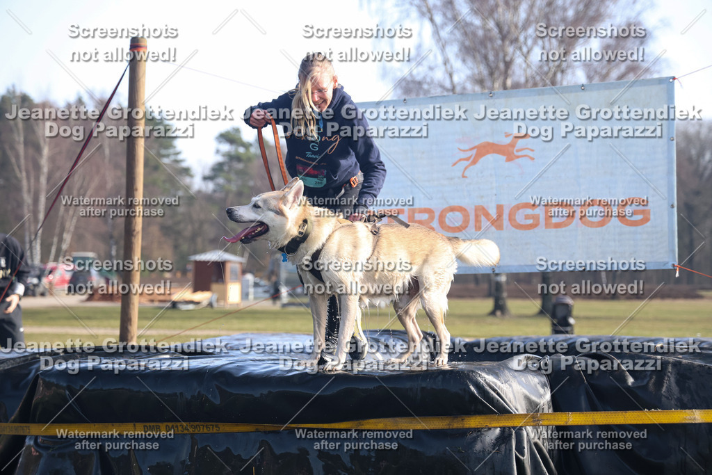 Dog Paparazzi - Strongdog North Mrz26-1090 | Dog Paparazzi Jeanette Grottendiek Fotografie & Videografie - Realisiert mit Pictrs.com