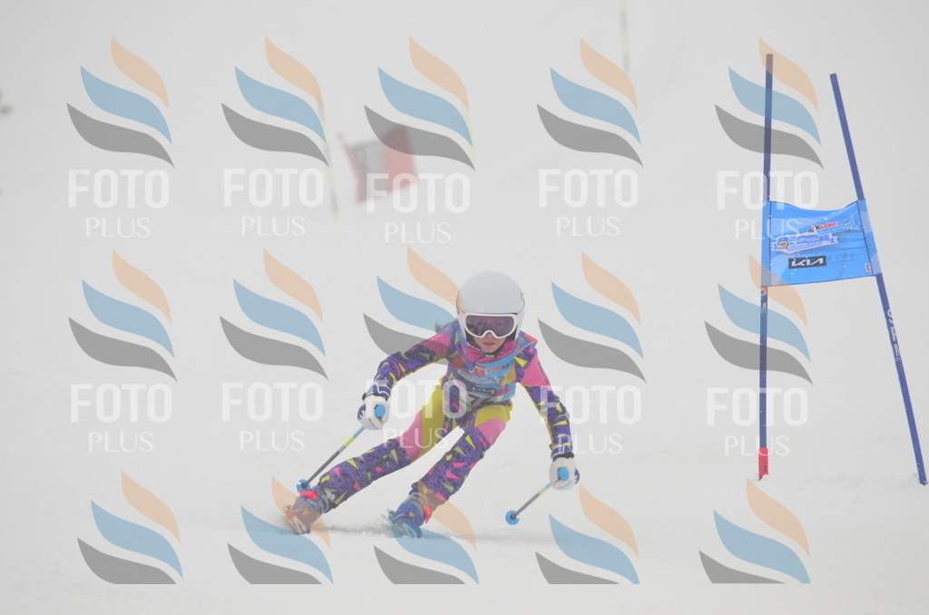 C1173 | holidayphoto