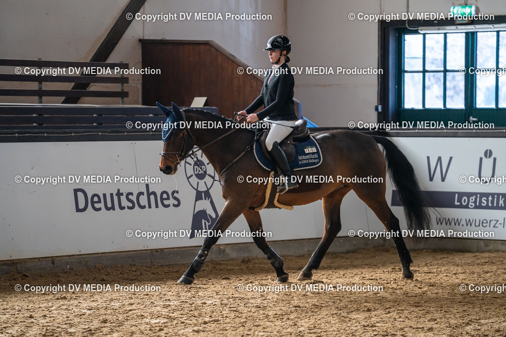 Kranichstein Tag 2-786 | dv-media-shop - Realisiert mit Pictrs.com